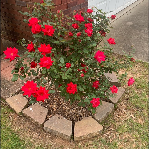 Meet your Posher, Marsha - Picture 2 of 8